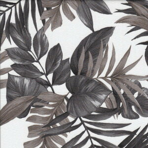 401 I Black x White nCA u[h