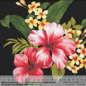 400 E Black ԕ nCA u[h