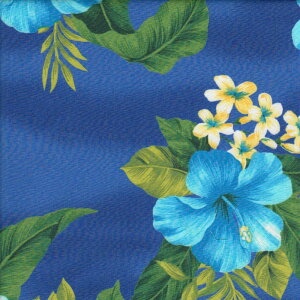 400 G Blue ԕ nCA u[h