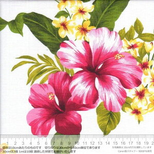 400 A Ivory ԕ nCA u[h