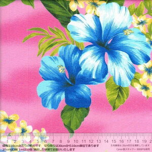 400 F Pink ԕ nCA u[h