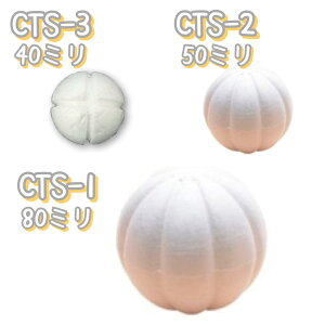 CTS ؖڍ݃X`[ 40~^50~^80~