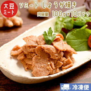 \~[g 哤~[g 傤Ă 100g×10pbN yN[Ⓚցz B[K xW^A _CGbg ޗsgp ς SoMeat 쉮