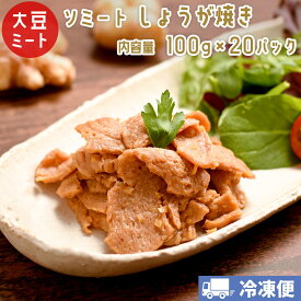 ソミート 大豆ミート しょうが焼き 100g×20パック 【クール冷凍便】 ヴィーガン ベジタリアン ダイエット 動物性原材料不使用 高たんぱく質 SoMeat 染野屋