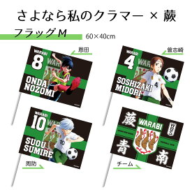 「さよなら私のクラマー×蕨」フラッグM／恩田希　周防すみれ　曽志崎緑　蕨青南高校　蕨市　公式グッズ