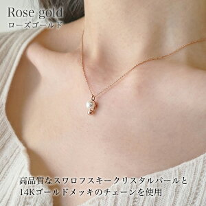 lbNX p[ ꗱ XtXL[p[ Wp[ ^ VRp[ fB[X JWA Vv 킢 IV Vo[925 14K  uh 20 30 40  Mtg  a