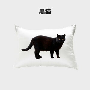 Jo[ ؍ L VN 50x70 Te 􂦂 炳 ܂Jo[ s[Jo[ s[P[X Q uh Mtg  CeA  V[c v[g 킢 v[g a