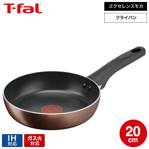 yLINEFB330~N[|zeBt@[ T-fal IH`^EGNZX J tCp 20cm G17202 / IHΉ KXΑΉ ih KX p p  m点}[N тɂ  t-fal Tf