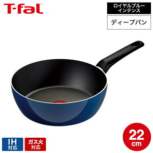 eBt@[ T-fal Cu[ECeX fB[vp 22cm D53383 yʃf / IHs KXΐp  [^ Ў m点}[N тɂ  tCp