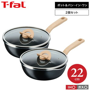 【LINEお友達で最大330円クーポン】ティファール T-fal 深型フライパン ポット&パン・イン・ワン マルチパン 22cm 2個セット IH対応 ガス火対応 ih ガス 兼用 両用 ihセット / フライパン 鍋 中華
