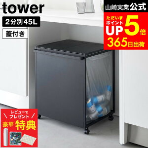 yr[łȂؓTz[ WtډBʃ_XgS ^[ 45L 2 ] R  tower 1820 1821 zCg ubN / Lb` S~  45bg ʃS~ ӂt 