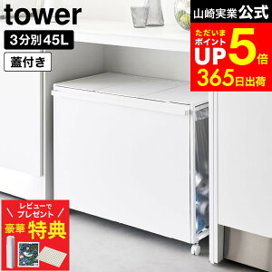 yr[łȂؓTz[ WtډBʃ_XgS ^[ 45L 3 ] R  tower 1822 1823 zCg ubN / Lb` S~  45bg ʃS~ ӂt 