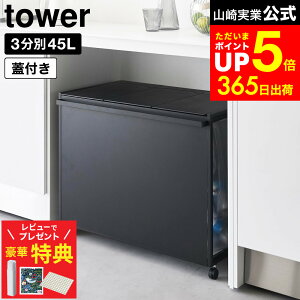 yr[łȂؓTz[ WtډBʃ_XgS ^[ 45L 3 ] R  tower 1822 1823 zCg ubN / Lb` S~  45bg ʃS~ ӂt 