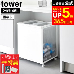 yr[łȂؓTz[ ډBʃ_XgS ^[ 45L 2 ] R  tower 1824 1825   / Lb` S~  45bg ʃS~  LX^[t 45L 