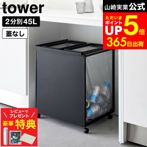 yr[łȂؓTz[ ډBʃ_XgS ^[ 45L 2 ] R  tower 1824 1825   / Lb` S~  45bg ʃS~  LX^[t 45L 