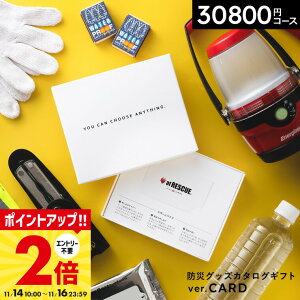 yLINEFBōő330~N[|zhЃObY J^OMtg J[h^Cv [webJ^OMtg AbgXL[ produced by LAEPITA ܂]s^ at RESCUE h Zbg ЊQObY hЗpi 3000