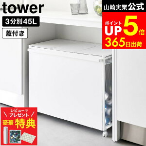 yr[łȂؓTz[ WtډBʃ_XgS ^[ 45L 3 ] R  tower 1822 1823 zCg ubN / Lb` S~  45bg ʃS~ ӂt 