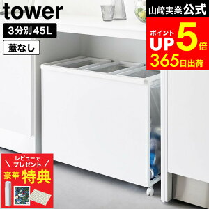 yr[łȂؓTz[ ډBʃ_XgS ^[ 45L 3 ] R  tower 1826 1827   / Lb` S~  45bg ʃS~  LX^[t 45L 