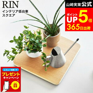 yLINEFBōő330~N[|zyr[Tz[ CeA  XNGA ] R  RIN 10064 10065 uE i` / ؐ  LX^[t   ω׏d30