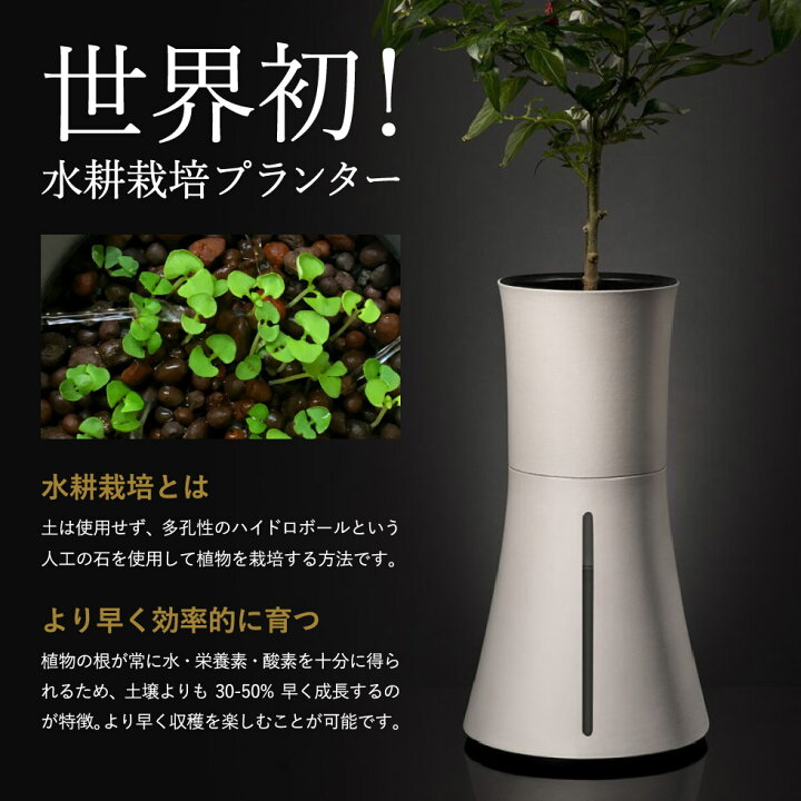 楽天市場】スマート水耕栽培キット ボタニアム BOTANIUM 家庭菜園 自動 