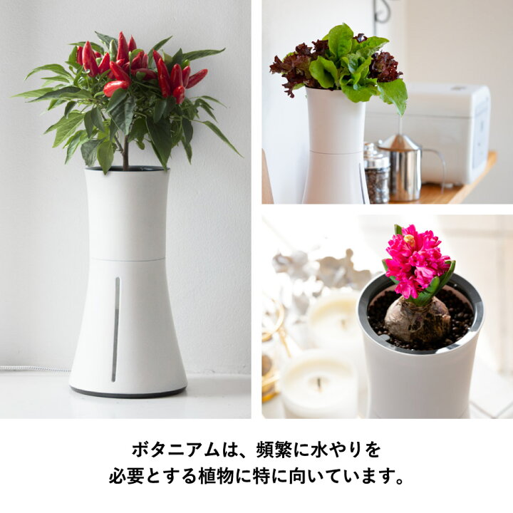 楽天市場】スマート水耕栽培キット ボタニアム BOTANIUM 家庭菜園 自動 
