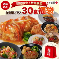 【期間限定！数量限定】食楽膳プラス 30食 福袋【公式】SOMPOケアフーズ 送料無料 冷凍惣菜 冷凍食品 冷…