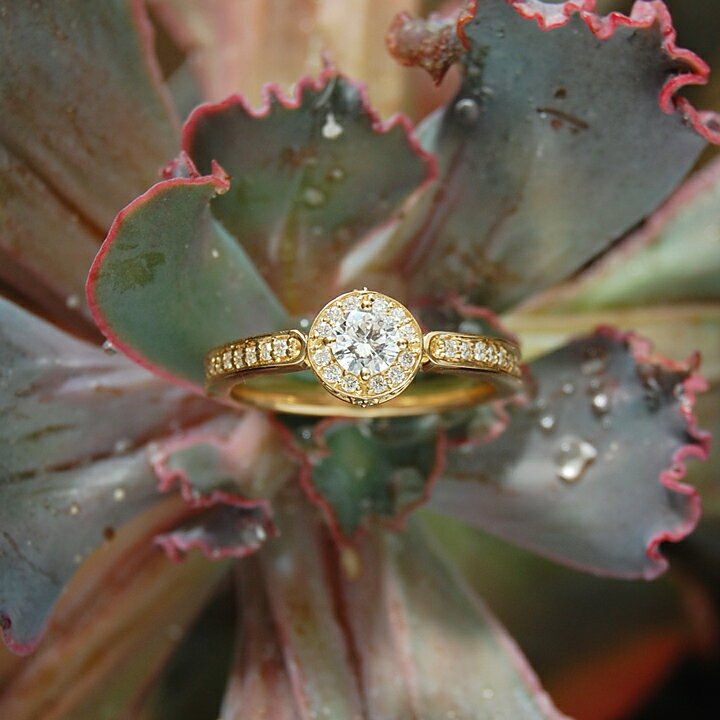 楽天市場】【Fountain Ring】 K10/K18/Pt900 ダイヤモンド ヘイロー 