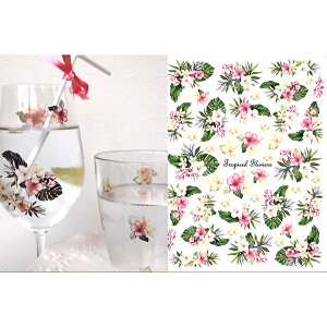 yKXpz@ʁ@gsJt[@TropicalFlowers@ATCYi|[ZA[gp]ʎ@썑ԁj|[Z[cp̉؂₩ȂԂ̓]ʎ