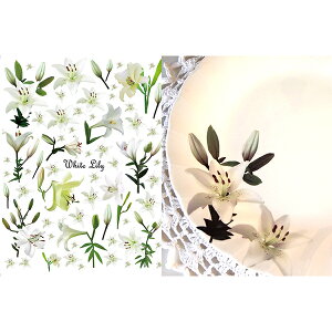 zCg[]ʎ@S@A4TCYi|[Z[c@ԓ]ʎjGKgȃ̉ԓ]ʎE|[Z[cp