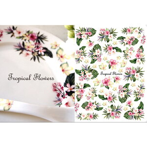 ʁ@gsJt[@TropicalFlowers@ATCYi|[Z[cp]ʎ@썑ԁjE|[ZA[gp