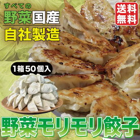 野菜モリモリ餃子 村長餃子 餃子 冷凍餃子 野菜 ヘルシー 冷凍食品 冷凍 自社製造