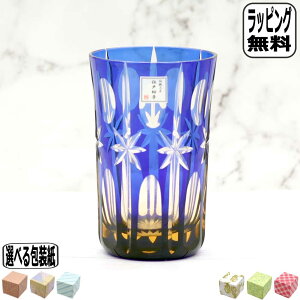 y1115~8%OFFN[|zNH[ ]ː؎q  ^u[  G21-609 ؎q OX ̓ ؔ v[g җj ސEj j LO `H|i