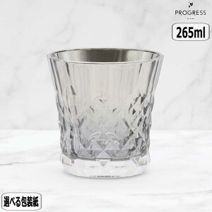 y}\ő10OFFN[|zPROGRESS vOX Rex-Silver bNOX Ē ECXL[ v[g Mtg  ̓ hV̓ ސEj S a `^