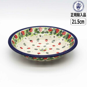 y305~5OFFN[|zyK戵Xz|[bV|^[ cF~J Z~J X[vv[g 2709X-026 k |[h 킢 CERAMIKA  C`S 