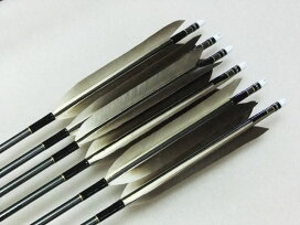 楽天市場】 矢 > ミズノカーボン矢 > SST75-18s : 曽根弓具店