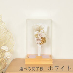 Iׂ2  Hq  ~jTCY RpNgy8  ( zCg or ubN ) z  킢 CeA D AN P[X