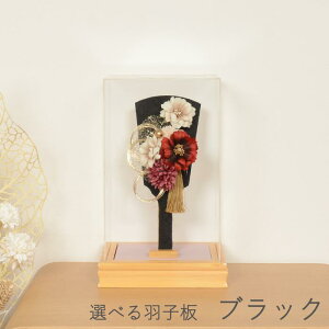 Iׂ2  Hq  ~jTCY RpNgy8  ( zCg or ubN ) z  킢 CeA D AN P[X