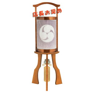 Ɩꖳ̃RpNgNEWX^C_~񓔁ua݁v  _̐ʌ菤iłByG26KC64643z