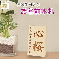 初正月・初節句 羽子板・破魔弓、 雛人形・五月人形の脇飾りにお名前と誕生日入り【木製・オリジナル名前…