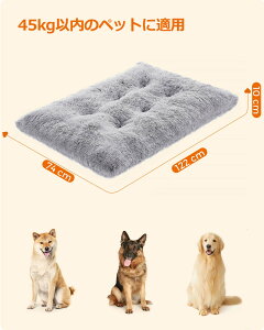 FEANDREA  xbh ې ӂӂ g ybgxbh lp` ~ LC Lpr ^p Lpxbh h΍