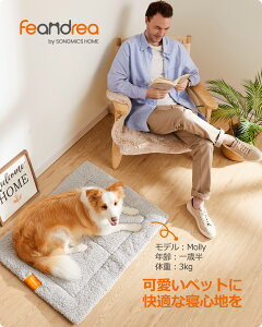 FEANDREA ybgpNbV  L ې ӂӂ g xbh ~ LC lp` Lpr ^ Lxbh ~ ybg}bg h΍(kC  ȂǏ)