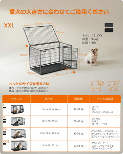 yԌ聚|Cg10{!!zFEANDREA ybgP[W P[W ^ ^ _uhAt g[t ybgT[N ^ gȒP Op 107xs70 x74.9cm ybgnEX PPD001B01 