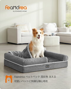 FEANDREA  xbh 􂦂 ӂӂ lGʗp ybgxbh NbV ~ Lpr LC ^pxbh