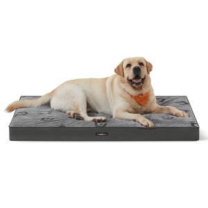 �y10%OFF�� 4/4-10����!!�zFEANDREA ���p�x�b�h �􂦂� �� �y�b�g�x�b�h �_�炩�� ���K ����~�� �L���C ���L���p�r �y�b�g �x�b�h�y��������(�k�C�� ���� �����ȂǏ���)�z