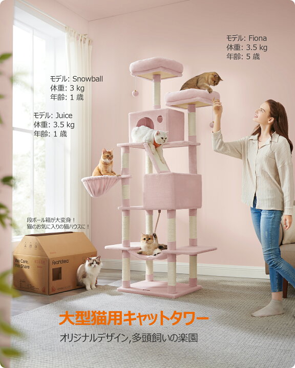 楽天市場】【先着クーポンで15%OFF！！】FEANDREA キャットタワー 多頭 
