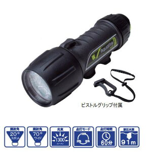 UKi[P[j 7869 UK ANACg PRO2 1300 _CrO Cg h