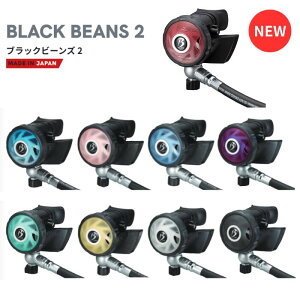 Bism�i�r�[�C�Y���j RB4300CK �u���b�N�r�[���Y2 ���M�����[�^ BLACK Beans2 REGULATOR �_�C�r���O