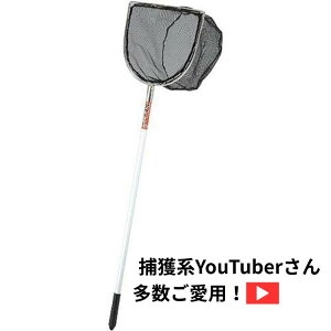 A1�i�G�[�����j STF36AL �^�t�l�b�g���^�� 36AL�i3�_�Z�b�g�j���� �����Ȏ��� �C �� ���ɂ���