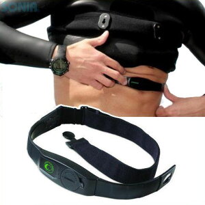 OMER�@O.ME.R.(�I����) �ySPPC0100F2�z SP2 CHEST STRAP �`�F�X�g�X�g���b�v