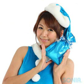 【20%ポイントバック】SONIA(ソニア)　ギフト・ラッピング袋（SS）25×15cm